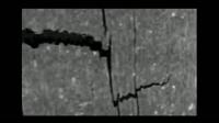仿生螺旋胶合板结构材料在裂纹尖端的切片（截面方向）。