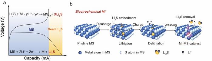Principles of electrochemical molecular imprinting (MI) based on MSs