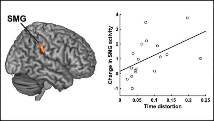 How the Brain Creates the Experience of Time