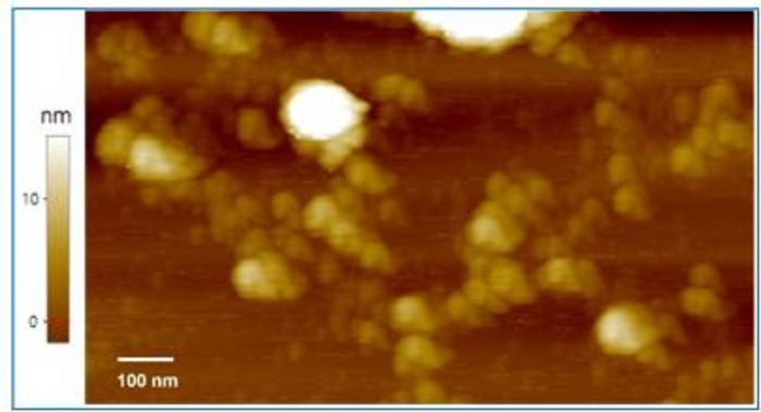 Novel DNA Robots Designed for Swarming into Nonlinear Amplification