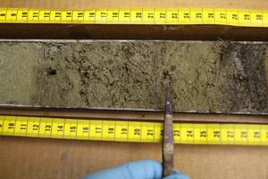 Sediment core