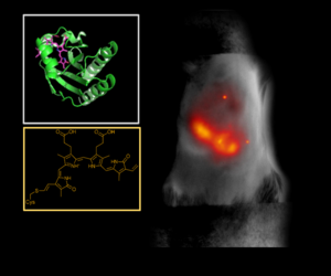 Red Shifted Protein Graphic