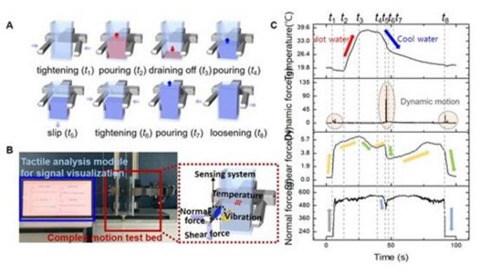 Perception of complex tactile motion