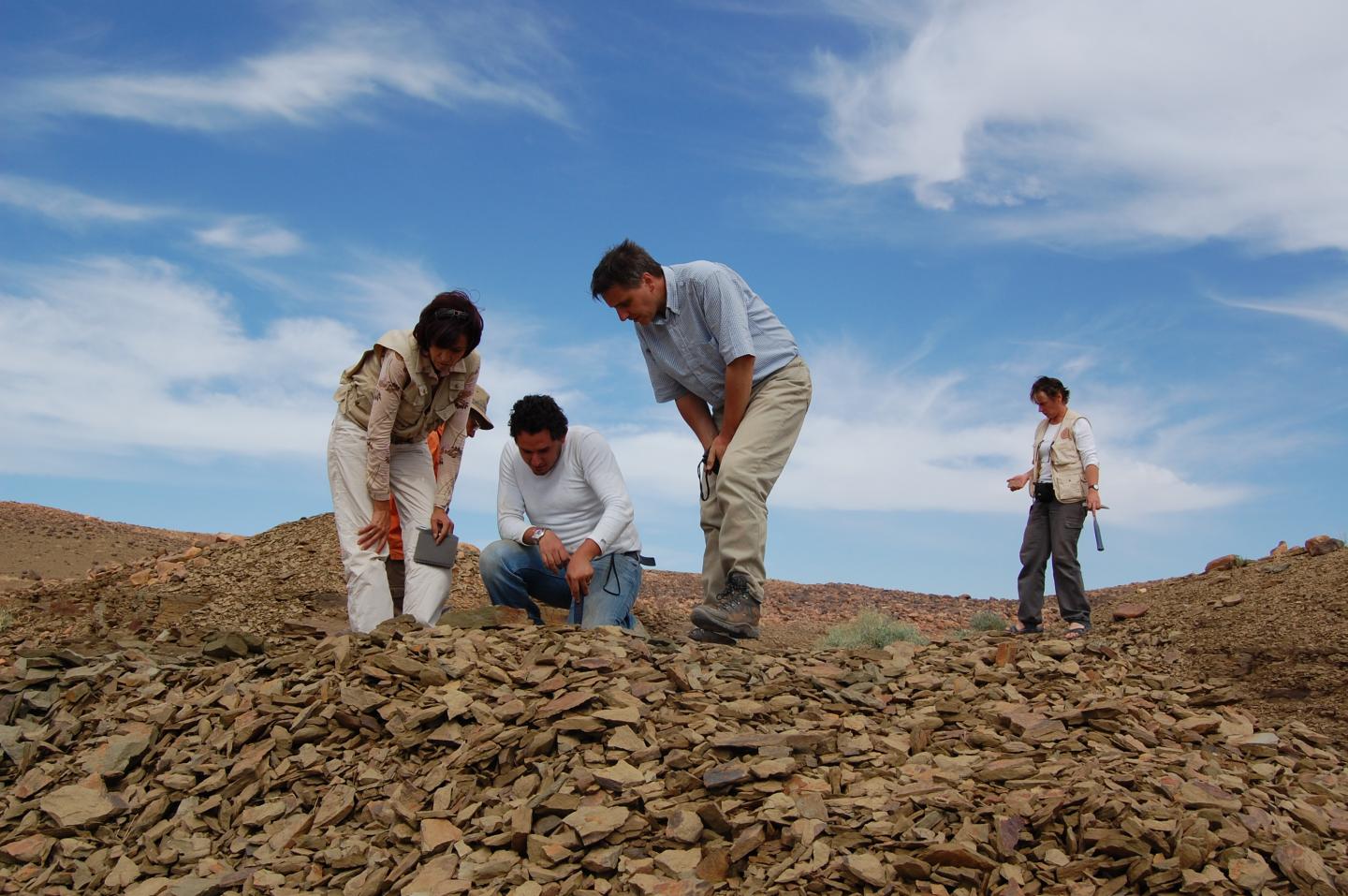 The Fezouata fossil site in Morocco, where Cantabrigiaster fezouataensis was uncovered.
