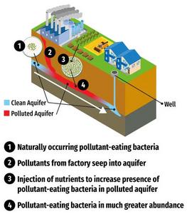 Groundwater cleanup