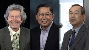 Three ORNL scientists elected AAAS Fellows