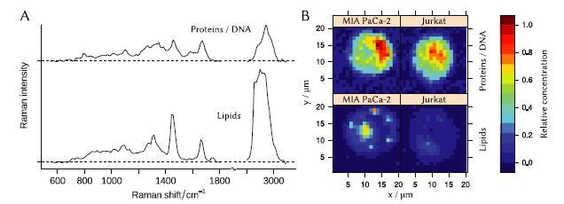 Researchers Can Now Build an Inexpensive and Flexible Micro-Raman System