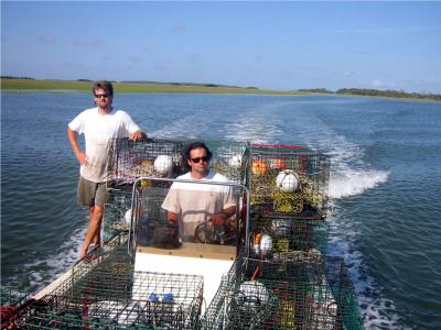 Skidaway Crab Trap Experiment