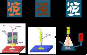 The figure provides the different techniques used for developing the functional scaffolds – [A] Supercritical CO2 foaming, [B] 3D printing, [C] Bioprinting and [D] Electrospinning.