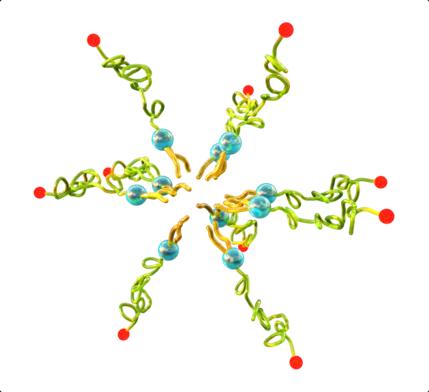 Peptide Amphiphile Micelles That Can Discriminate Disease Progression