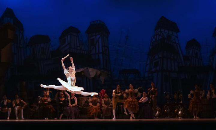 Ballet: Don Quixote Ballerina