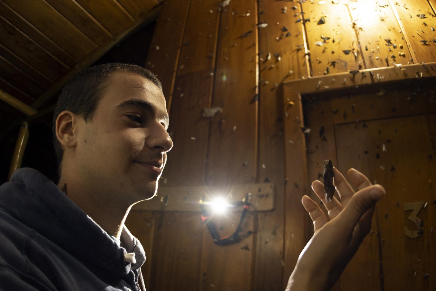 Remi Mauxion Loves Moths