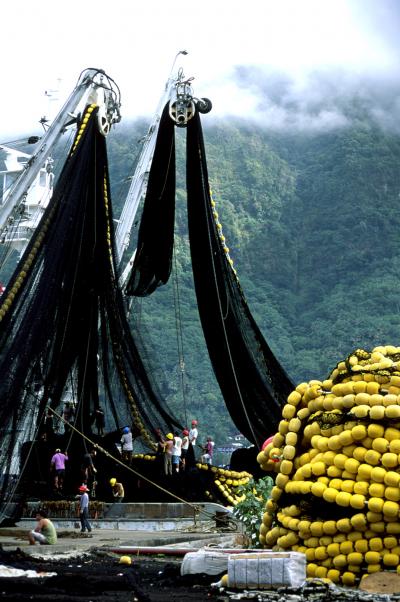 Purse Seine Tuna Boat