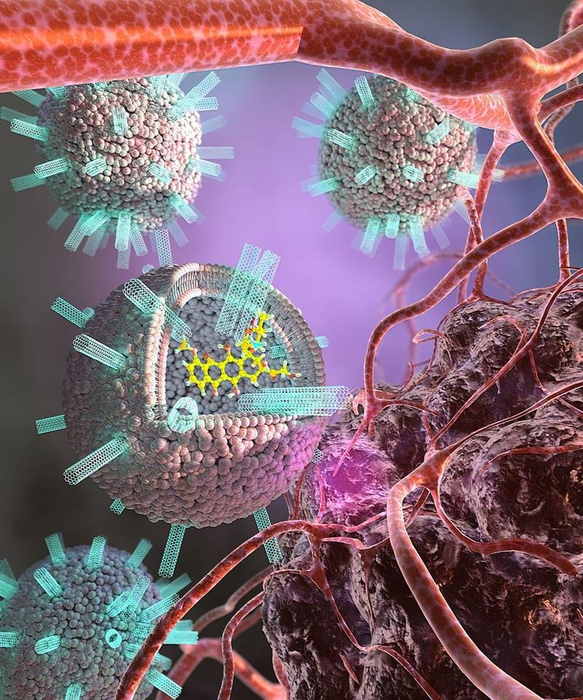 Studied for Clean Energy, Carbon Nanotubes Find New Potential in Anticancer Drug Delivery