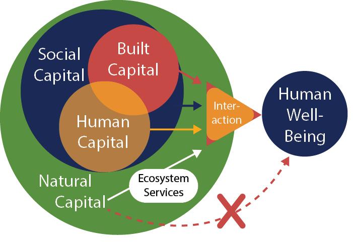 Dependence of Human Wellbeing Schema