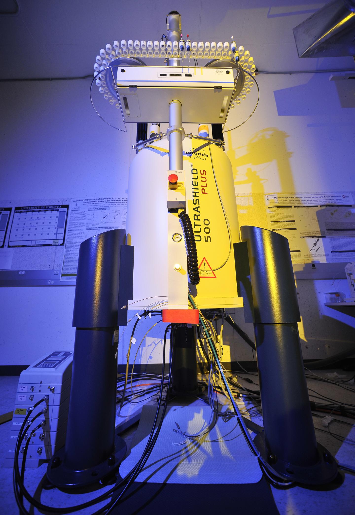 New Technique Offers 'Molecular Window' into Living Organisms