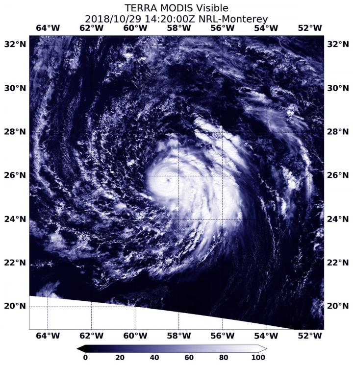 Terra Image of Oscar (2 of 2)