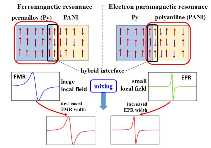 Multiple magnetic resonance techniques for spin currents