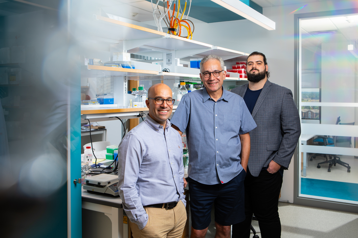 First and senior authors