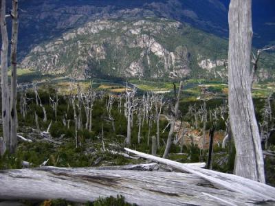 Wildfire Aftermath in Futaleufu, Chile