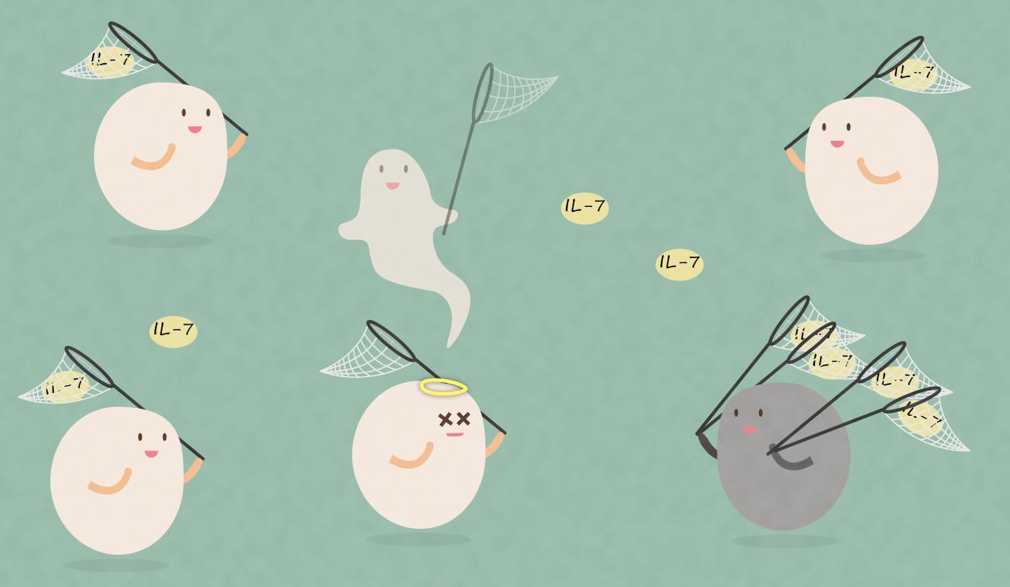 Light-Hearted Representation: Competition for Survival