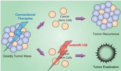 Schematic Representation of Findings