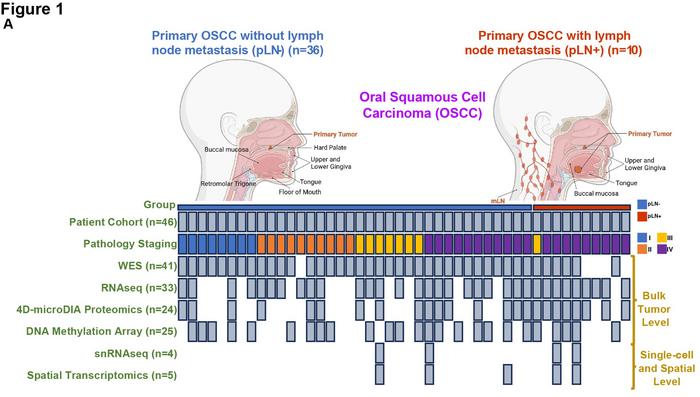 Schematic summary