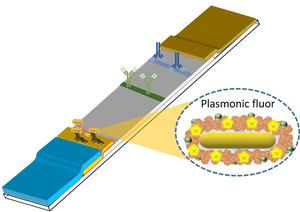 Plasmon-enhanced LFA