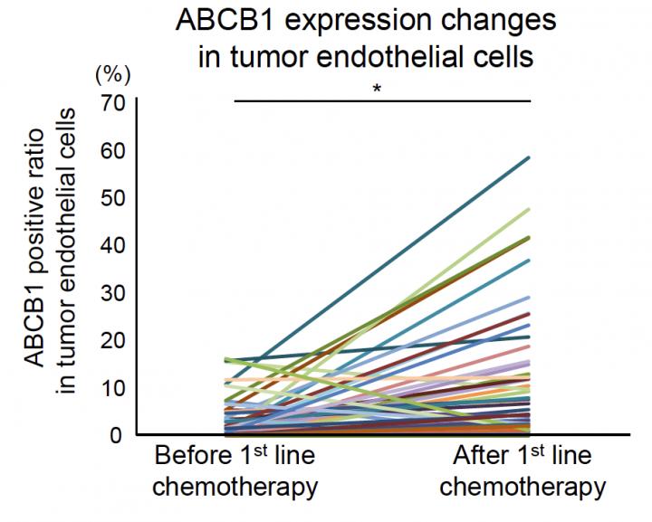 ABCB1 Expression Increases After Chemotherapy