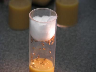 Fruit Flies in a Vial