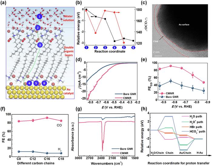 Chloroplast-mimicking nanoreactor for enhanced CO2 electrocatalysis