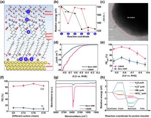 Chloroplast-mimicking nanoreactor for enhanced CO2 electrocatalysis