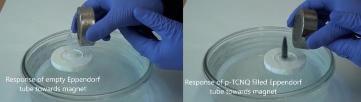Response of p-TCNQ Sample toward External Magnet on Surface of Water.