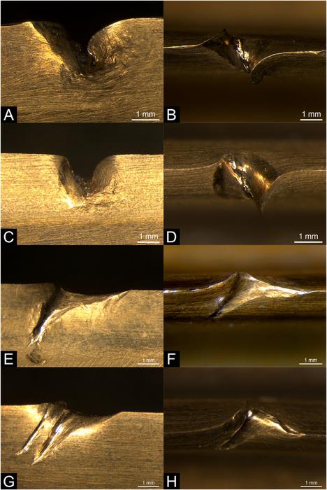 Some of the wear and tear from battle that occurred during the experiment with controlled impacts on the replica bronze spearheads: (A–B) Notch with burr, side & top view (C–D) Notch with burr, side & top view (E–F) Bowing dent with trail, side & to