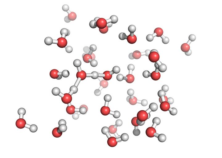 Simulations Give Important Insights into Molecular Behavior