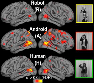 Uncanny Valley in fMRI?