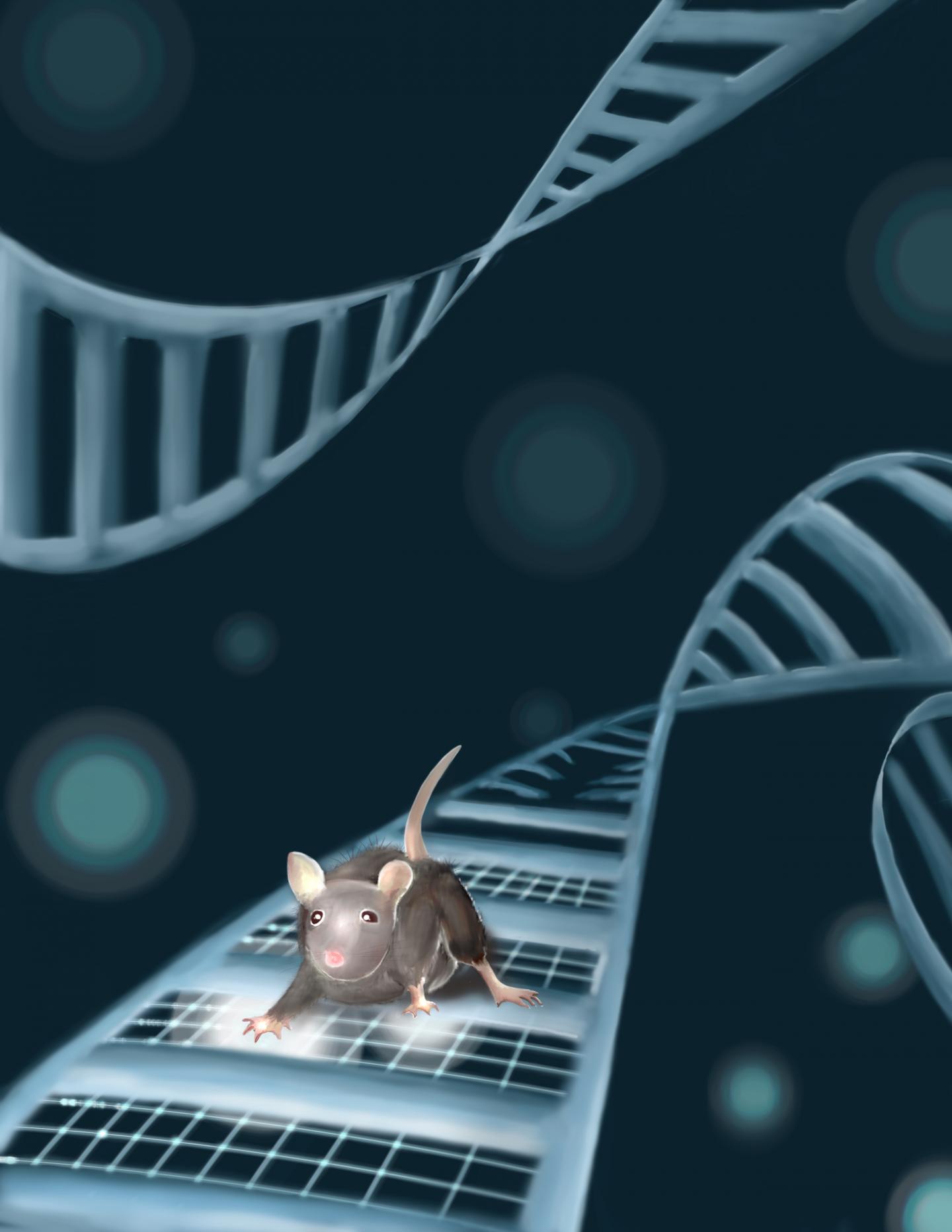 Genes, Mice, and Autism