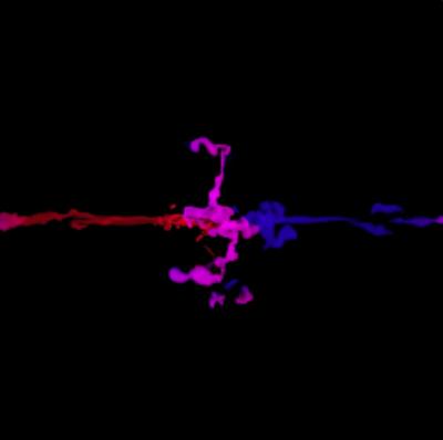 Simulation Image (Tracer)