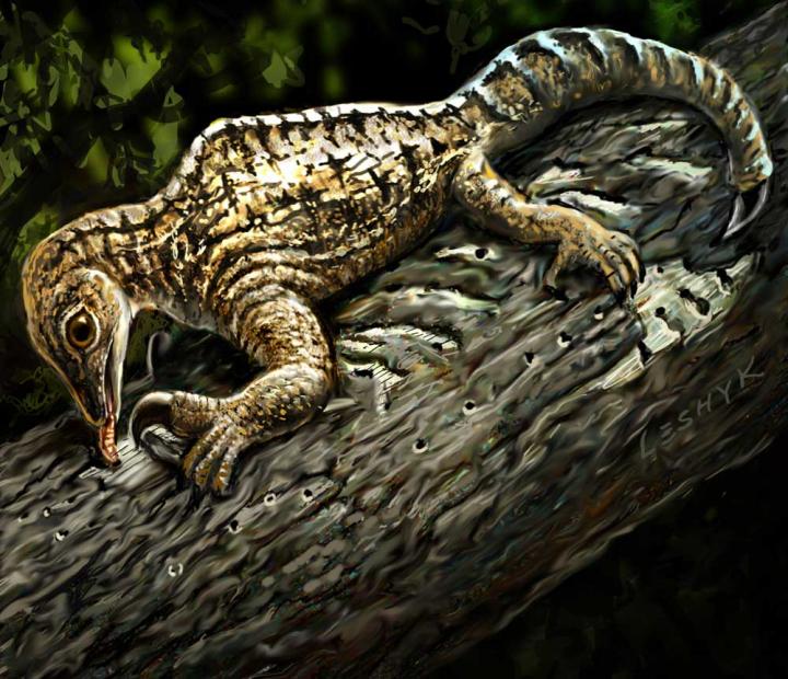 <em>Drepanosaurus</em>