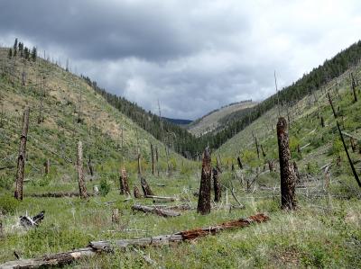 2000 Canyon Ferry Complex Fire Site