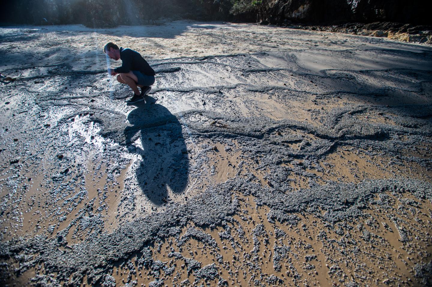 Associate Professor Scott Bryan