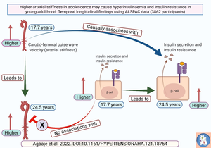 Higher arterial stiffness seems to independently cause hyperinsulinaemia and insulin resistance among adolescents and young adults.