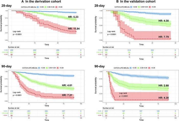 Risk stratification of patients with acute-on-chronic liver failure (ACLF) by the Chinese Acute-on-Chronic Liver Failure Consortium-model for end-stage liver disease score (CATCH-LIFE-MELDs).