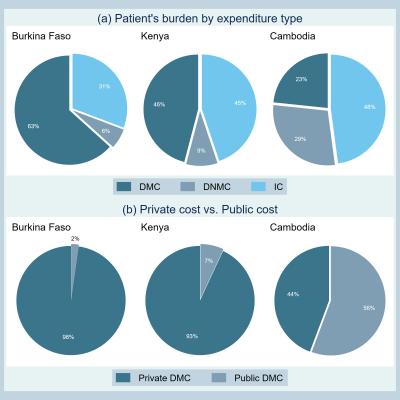 Study Shows Economic Burden Of Dengue Fever
