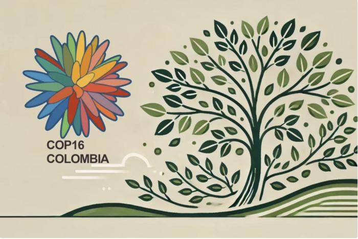 Logo of the 16th Conference of Parties to the UN Convention on Biological Diversity,  Cali, Colombia, 21 Oct.-1 Nov. 2024