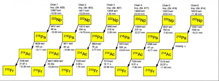 </span><span>Correlated &#945;-decay chains of <sup>222</sup>Np observed in the present work