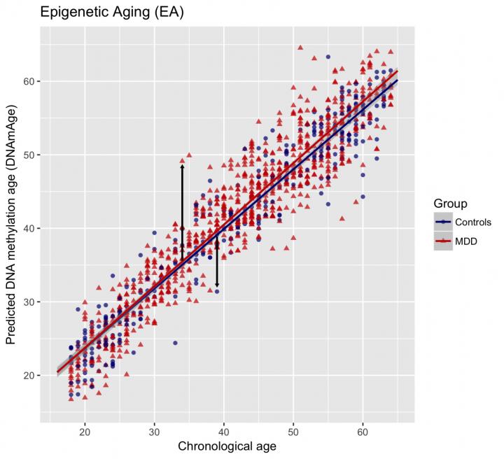 Graph, Age v Methylation
