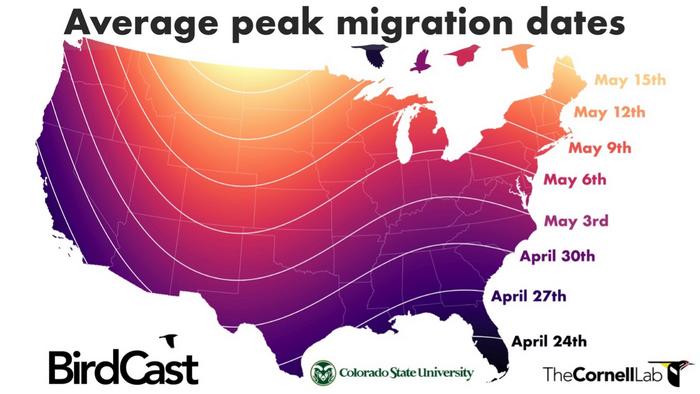 Migration dates map