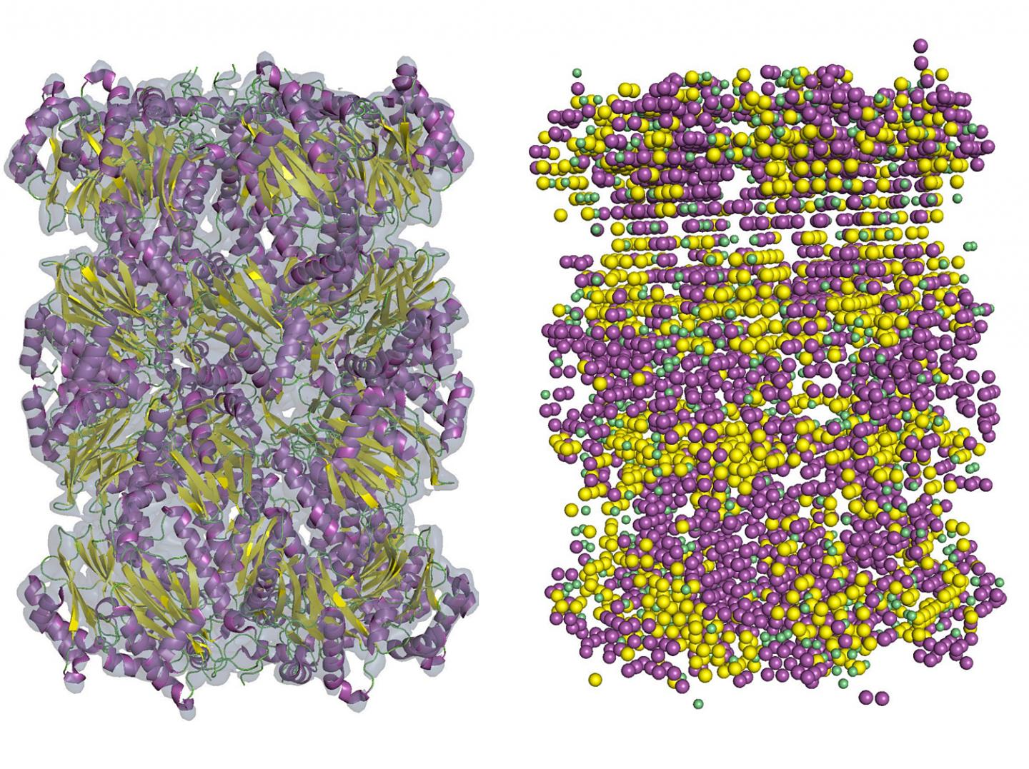 Improved Protein Structure Detection