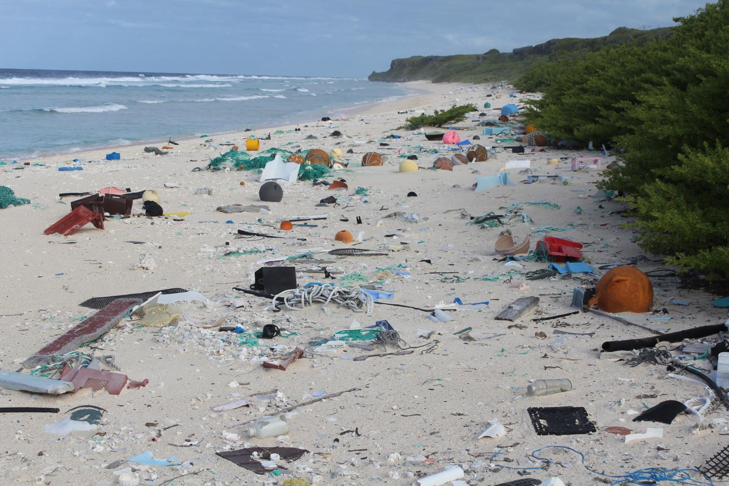 East Beach, Henderson Island